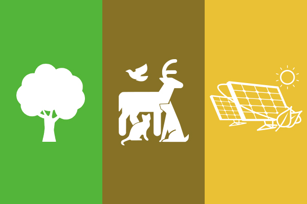 Environmental Sustainability